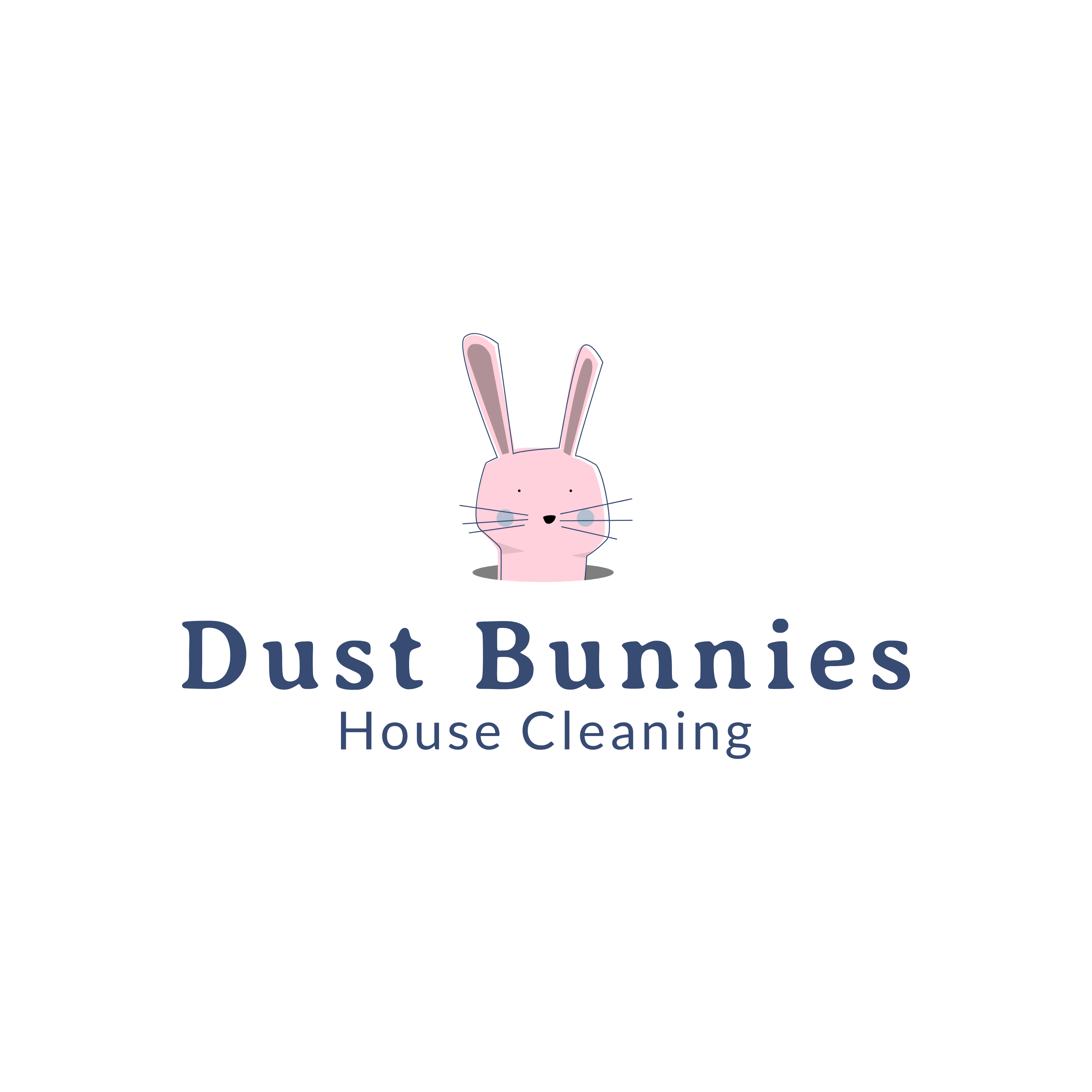 Dust Bunnies House Cleaning